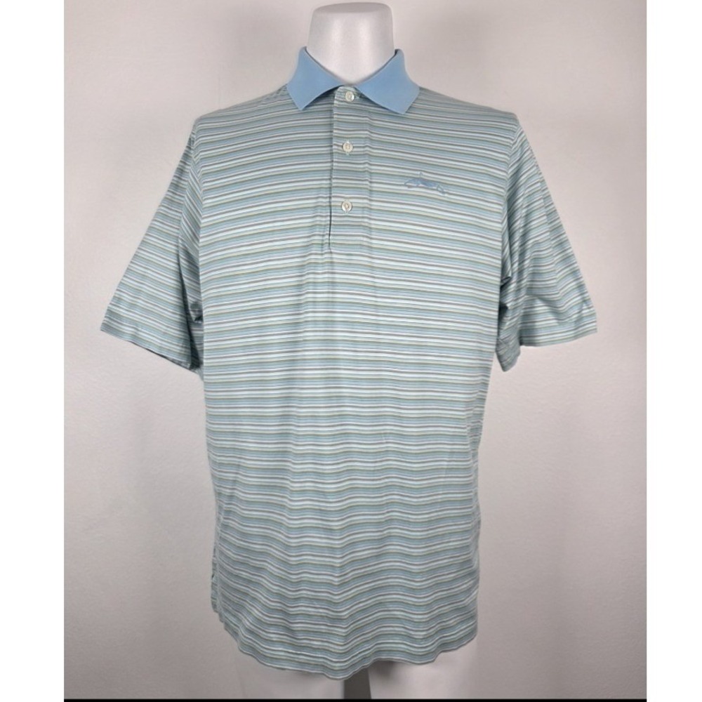 Carnoustie Men's Polo Shirt Striped Blue Medium